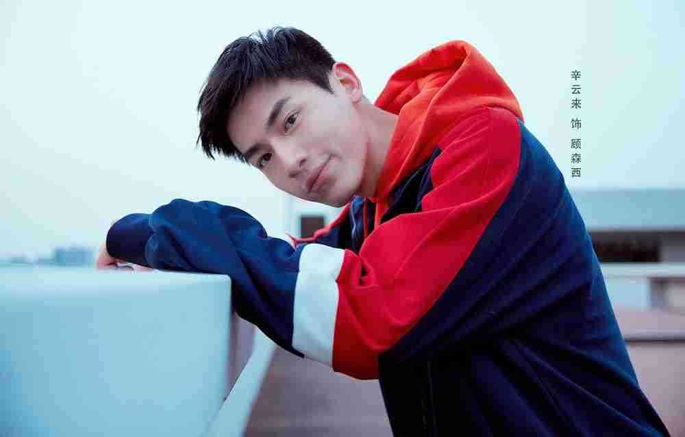 《悲伤逆流成河》辛云来